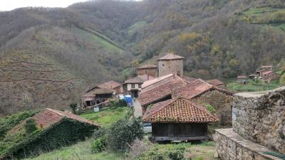 Прикрепленное изображение: P1162915.JPG